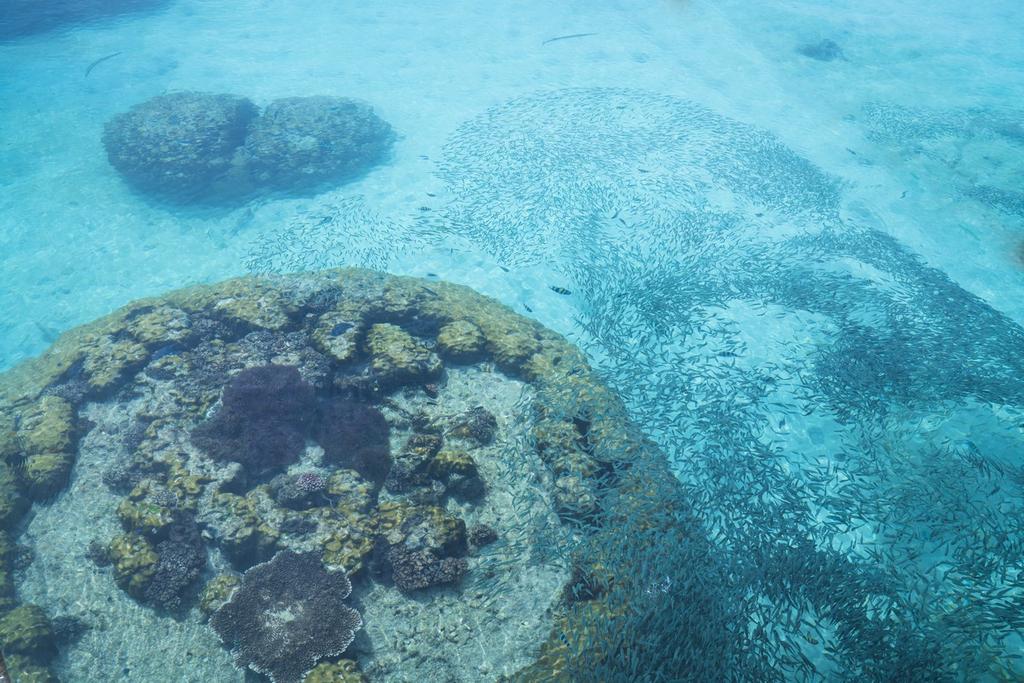 Summer Bay Resort, Lang Tengah Eksteriør bilde